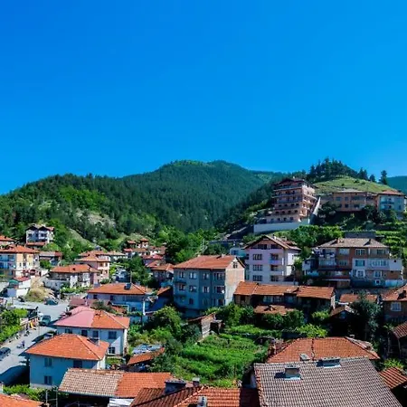 борник хил / Bornik Hill 4* 代温