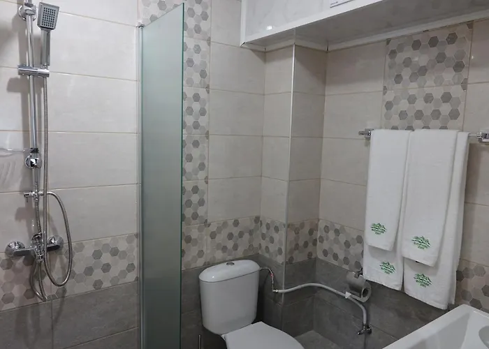 公寓式酒店 борник хил / Bornik Hill 4*