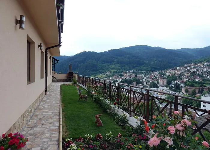 борник хил / Bornik Hill