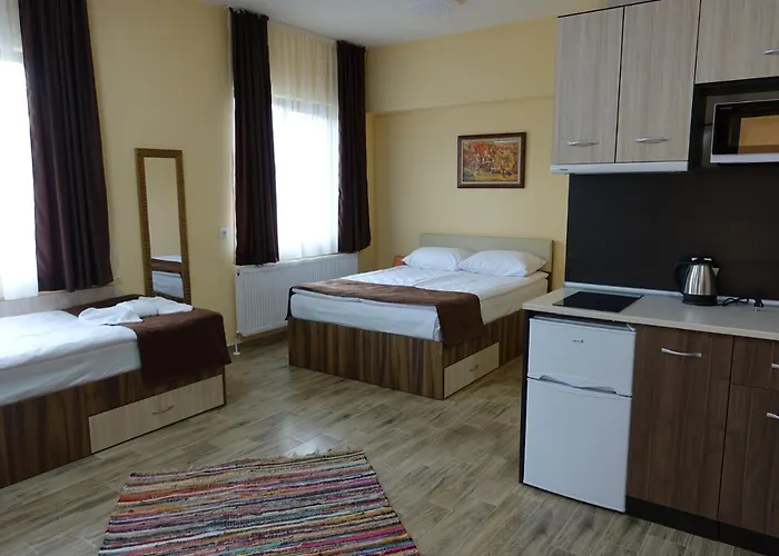 борник хил / Bornik Hill 4* 代温