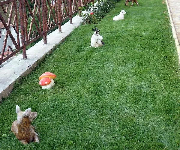 борник хил / Bornik Hill Aparthotel