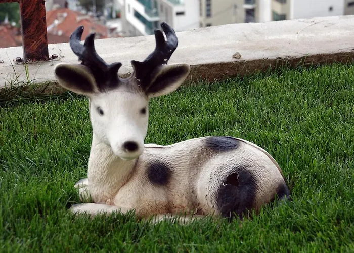 公寓式酒店 борник хил / Bornik Hill 代温