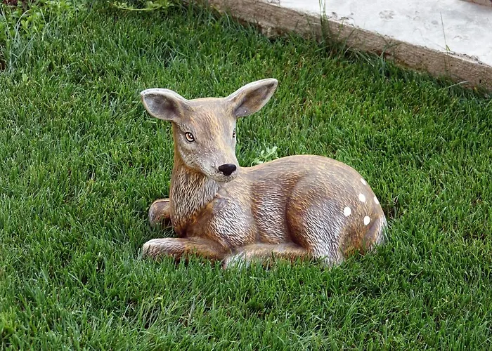 борник хил / Bornik Hill 代温