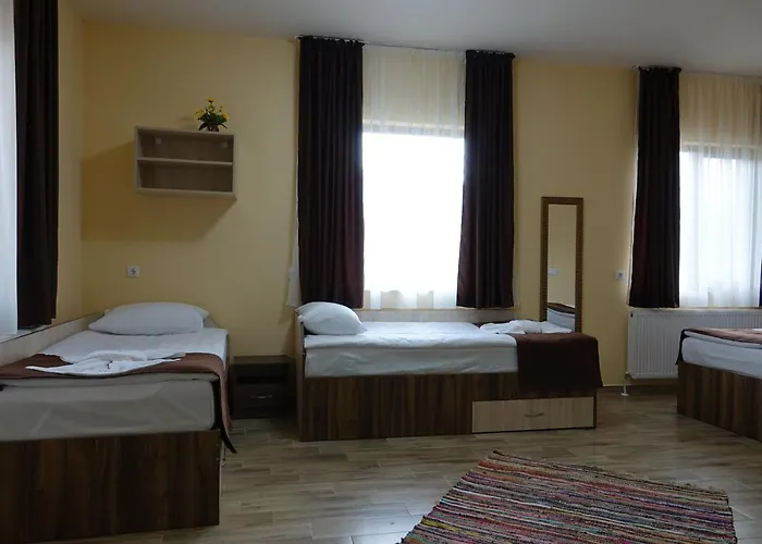 борник хил / Bornik Hill 4* 代温