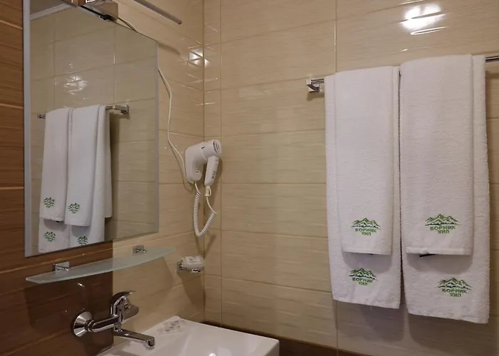 борник хил / Bornik Hill 4* Devin