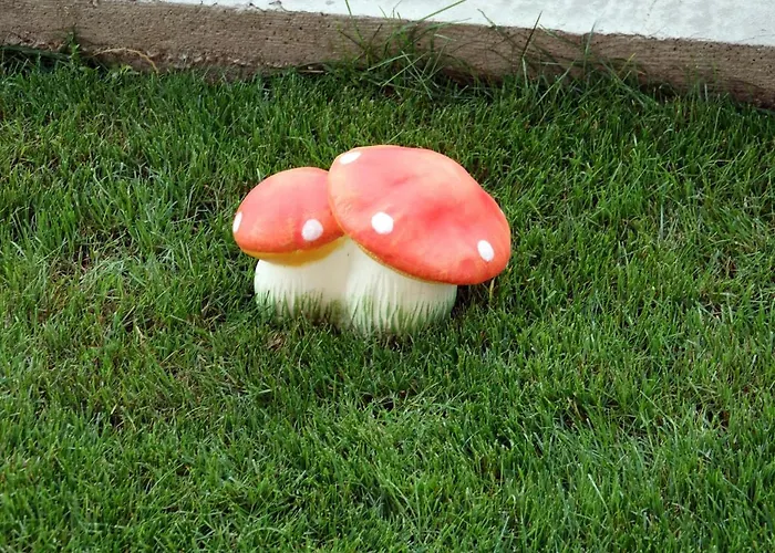 борник хил / Bornik Hill 公寓式酒店