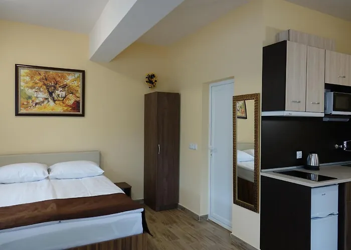 борник хил / Bornik Hill 4* 代温