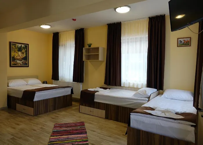 Aparthotel борник хил / Bornik Hill