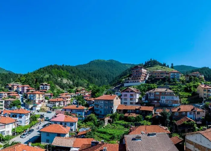 борник хил / Bornik Hill 4* 代温